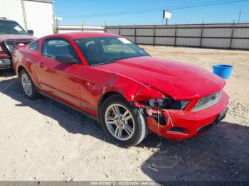  Salvage Ford Mustang