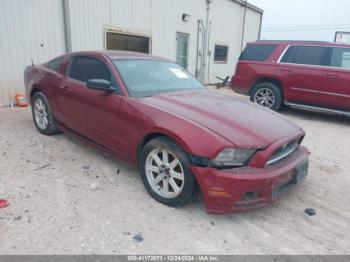  Salvage Ford Mustang