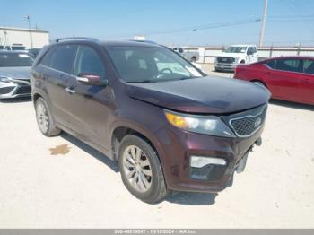  Salvage Kia Sorento