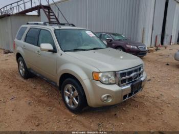  Salvage Ford Escape