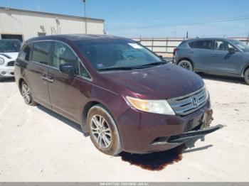  Salvage Honda Odyssey