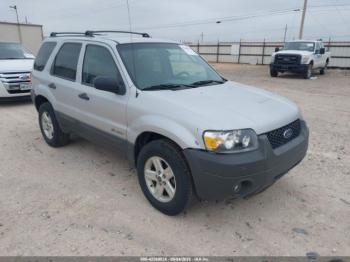  Salvage Ford Escape