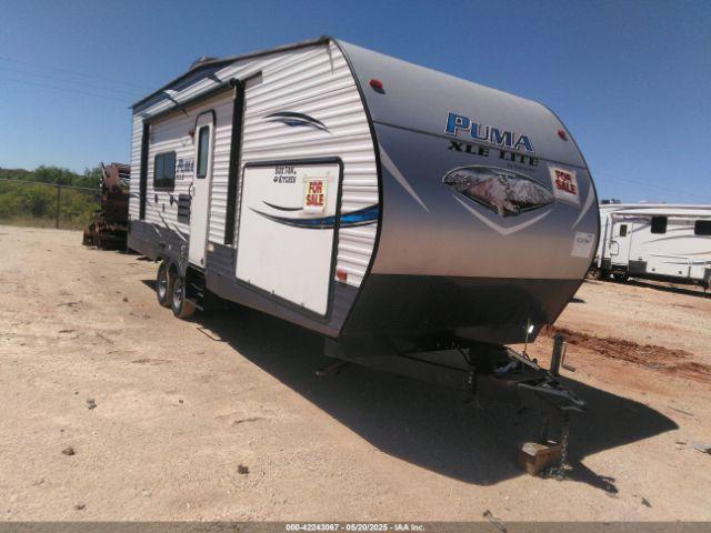  Salvage Palomino Other