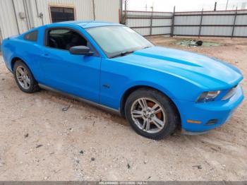  Salvage Ford Mustang