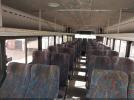 Blue Bird School Bus   Transit Bus Image 13