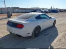Ford Mustang Ecoboost Image 2