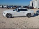 Ford Mustang Ecoboost Image 15