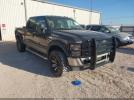 Ford F-250 Image 1