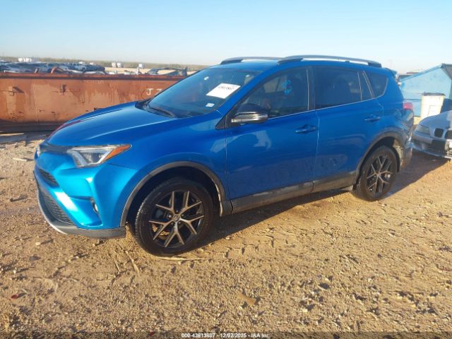 Toyota RAV4 Se Image 8