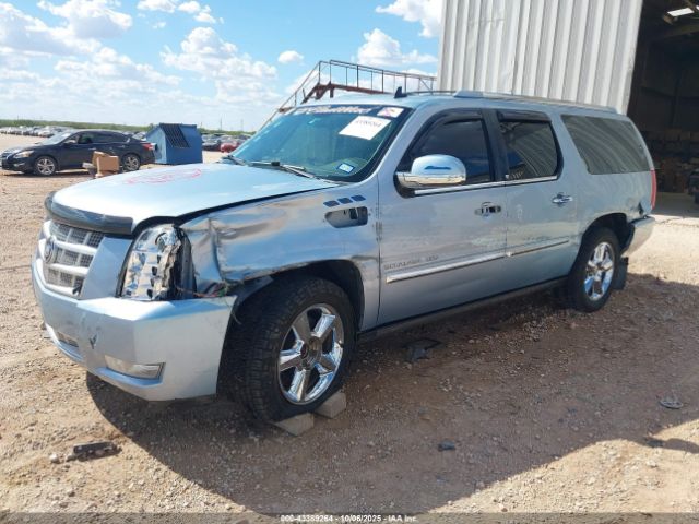 Cadillac Escalade Platinum Edition Image 20