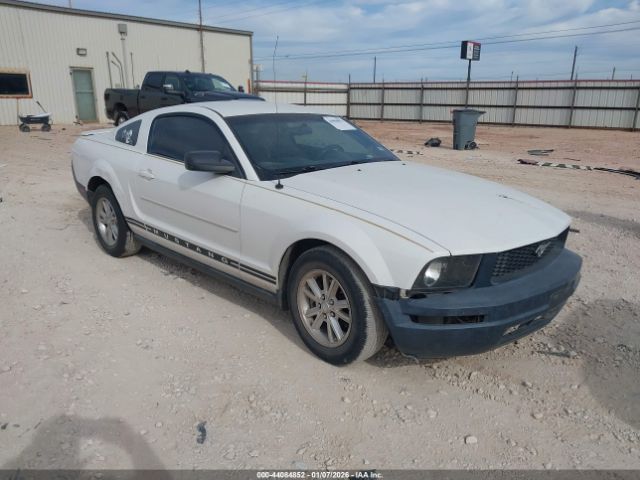 Ford Mustang Image 1