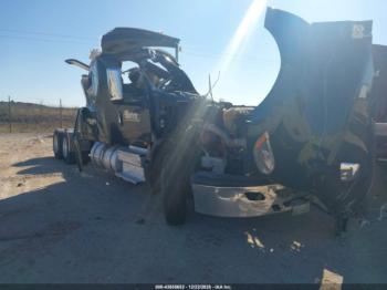  Salvage International Lt