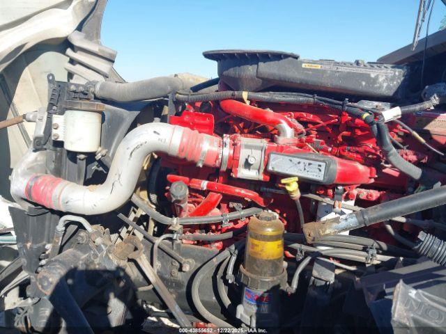 International Lt Image 11